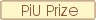 PiU Prize 2010